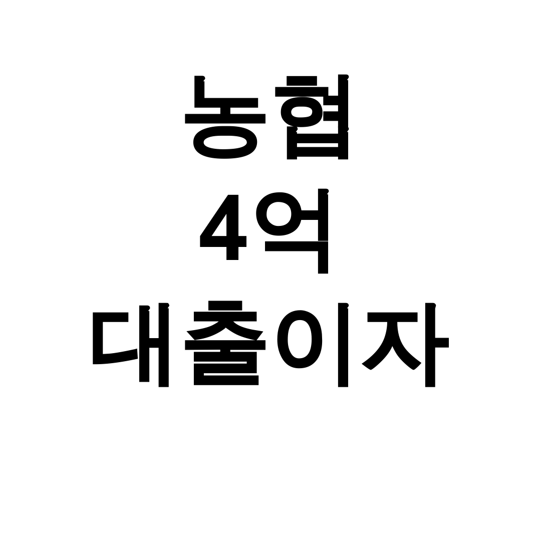 농협 4억 대출이자